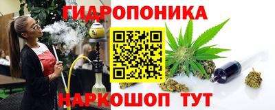 spice Брянск