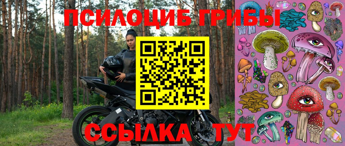 Псилоцибиновые грибы Psilocybe  Псилоцибиновые грибы мицелий  Октябрьский  Вход с VPN 